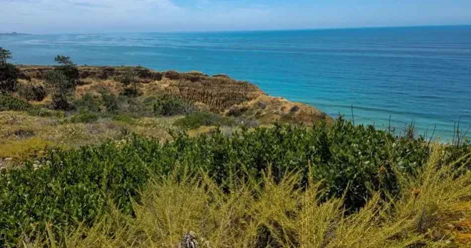 Ultimate San Diego Guide: Beaches, Attractions & Hidden Gems