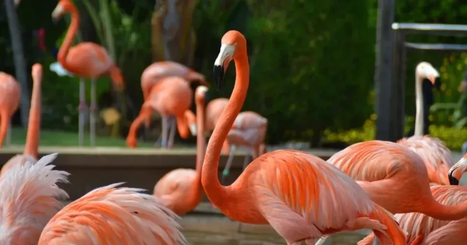 Best Things to Do in San Diego for Couples, Families & Solo Travelers
