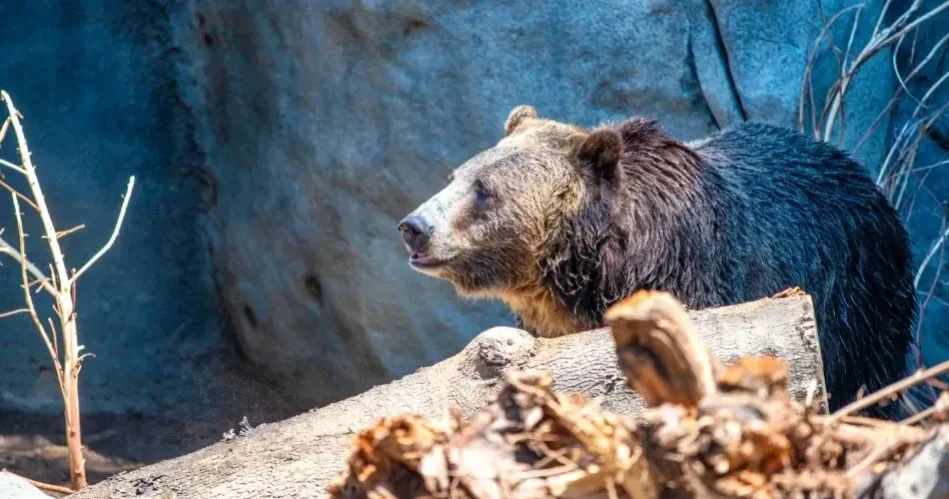 Top Family Activities in San Diego: Zoos, Parks & Kid Fun