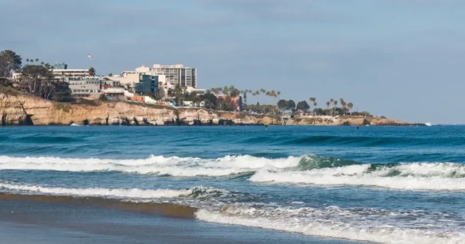 Top Family Activities in San Diego: Zoos, Parks & Kid Fun
