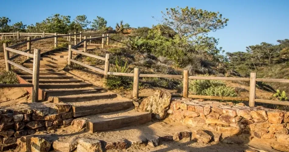 Top Family Activities in San Diego: Zoos, Parks & Kid Fun